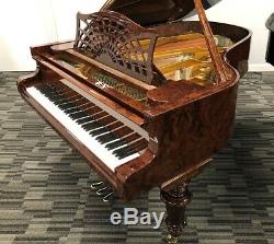 Bechstein M/P 6'4 Grand Piano Picarzo Pianos Walnut Model $166K retail VIDEO