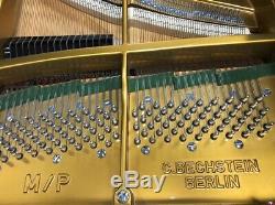 Bechstein M/P 6'4 Grand Piano Picarzo Pianos Walnut Model $166K retail VIDEO
