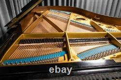 Bechstein Model V Grand Piano Made Around 1900. 5 Year Guarantee