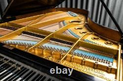 Bechstein Model V Grand Piano Made Around 1900. 5 Year Guarantee