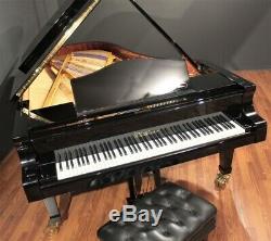Bluthner Model 2 Semi-Concert Grand Player Piano 7'10'' PianoDisc/QRS