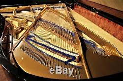 Bluthner Model 2 Semi-Concert Grand Player Piano 7'10'' PianoDisc/QRS