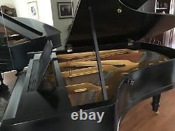 Bluthner Piano Model 6 Concert Grand Piano Ebony Satin 1917 Leipzig Germany