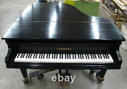 C. Bechstein Grand Piano / 1901 Model L / Ebony Satin / Local Pickup