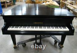 C. Bechstein Grand Piano / 1901 Model L / Ebony Satin / Local Pickup