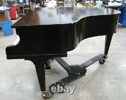 C. Bechstein Grand Piano / 1901 Model L / Ebony Satin / Local Pickup