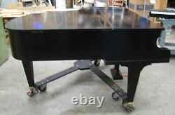 C. Bechstein Grand Piano / 1901 Model L / Ebony Satin / Local Pickup