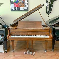Conover Model 77 5'8 Dark Walnut Grand Piano c1924 with Bench, Warranty & Lessons