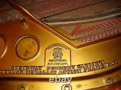 EXTRAORDINARY STEINWAY GRAND 5'11 O Model Piano with Chinoiserie Art Case