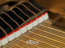 EXTREMELY RARE Hamburg Steinway B 6'11 Grand Piano in Bookmatch Sapele Mahogany