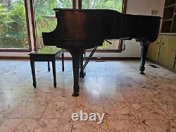 Ebony Satin Steinway & Sons Model M Grand Piano 5'7