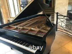 Equal Steinway Baldwin Concert Grand Piano Model SD 10 Watch Video