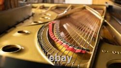 Equal Steinway Baldwin Concert grand piano model SD 10 Renners action See Video