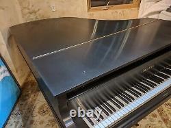 Equal Steinway Bechstein Semi Concert Grand Piano Model B Made in Berlin Germany