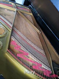 Equal Steinway Bechstein Semi Concert Grand Piano Model B Made in Berlin Germany