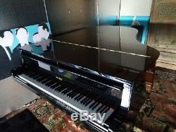 Equal Steinway Petrof grand piano 6'4 model III