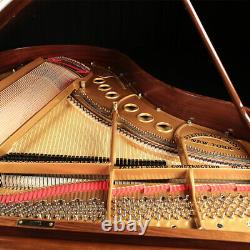 Exquisite Circassian Walnut HAMBURG Steinway Grand Piano, Model M 5'7 RARE