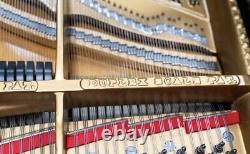 Fully Rebuilt Beautiful Steinway & Sons Concert Grand Model CD Piano