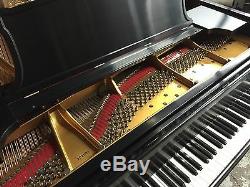 Fully Rebuilt Beautiful Steinway & Sons Concert Grand Model D Piano