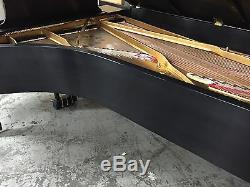 Fully Rebuilt Beautiful Steinway & Sons Concert Grand Model D Piano
