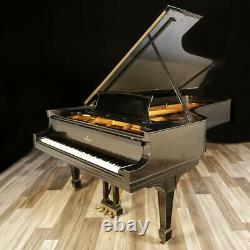 Golden Age Steinway Grand Piano, Model D 8'11