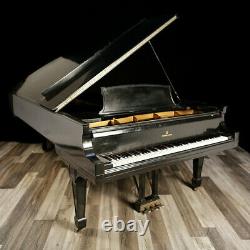 Golden Age Steinway Grand Piano, Model D 8'11