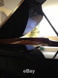 Grand Piano Schimmel Meyer 5'10