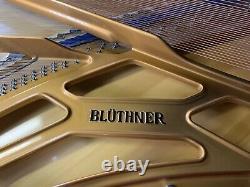 HAMBURG Bluthner Stunning Concert Grand Piano Model 2 Made In 2009 78