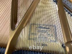 HAMBURG Bluthner Stunning Concert Grand Piano Model 2 Made In 2009 78
