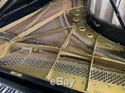 HAMBURG Steinway & Sons Concert Grand Piano Model D
