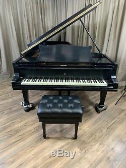 HAMBURG Steinway & Sons Concert Grand Piano Model D