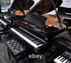 Hailun 178 5'10 Grand Piano Picarzo Pianos 2018 Model Ebony VIDEOS