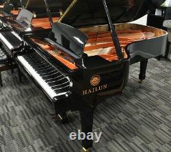 Hailun 218 7'2 Grand Piano Picarzo Pianos 2018 Model Ebony VIDEOS