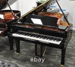 Hailun 218 7'2 Grand Piano Picarzo Pianos 2018 Model Ebony VIDEOS