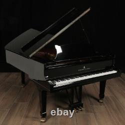 Hamburg Steinway Grand Piano, Model B 6'10 Excellent Condition