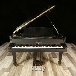 Hamburg Steinway Grand Piano- Model O