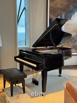 Hamburg Steinway Model A Piano Dakota Jackson Tricentennial Extremely Limited