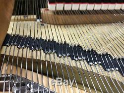 Hamburg Steinway Model'O' Grand Piano Completely Restored in Europe