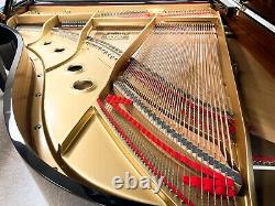 In L. A. Metro area EXELLENCE! Yamaha C3 / 6'1 Grand Piano, performance ready