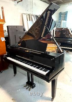 Magnificent August Forster Model 170 Grand Piano Ebony 5'8