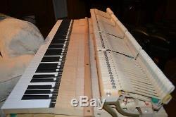 Magnificent PETROF baby grand piano model V & Steinway key felt cover