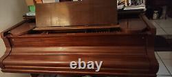 Mason & Hamlin Vintage 1924 Model AA Grand Piano, 6'2 Rebuilt, See Pictures