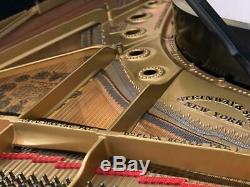 NICE STEINWAY MODEL B GRAND PIANO Restored 15-20 yrs ago FREE DEL EAST COAST