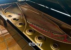 New in 1996 showroom perfect STEINWAY & SONS Model D Concert Grand Piano