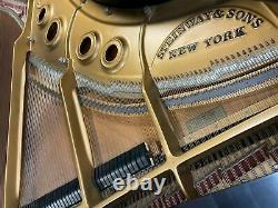 One Owner Passionately Loved Meticiously Maintained Steinway Grand 5'10 Model L