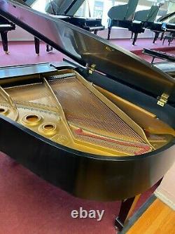 One Owner Passionately Loved Meticiously Maintained Steinway Grand 5'10 Model L