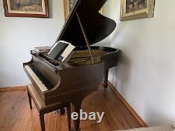 Outstanding STEINWAY & SONS 5'7 model M piano