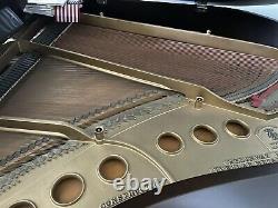 Outstanding STEINWAY & SONS 5'7 model M piano