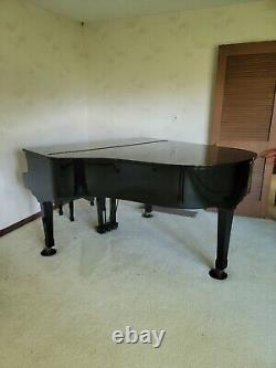 Petrof Grand Piano Model IV 2004 Purchase