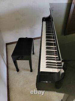 Petrof Grand Piano Model IV 2004 Purchase